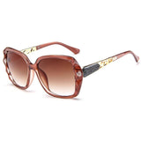 Brown Transparent Sunglasses