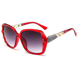 Brown Transparent Sunglasses